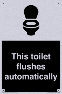 This toilet flushes automatically